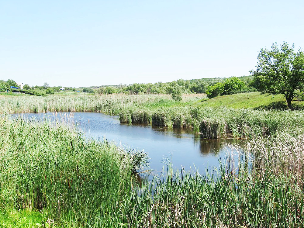 Річка Татарка